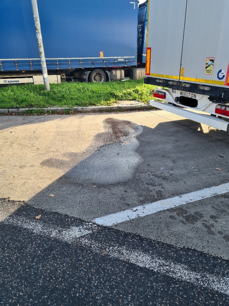 20241021_154001_resized bearbeitet.jpg